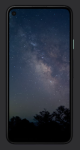 Pixel 4a デザイン